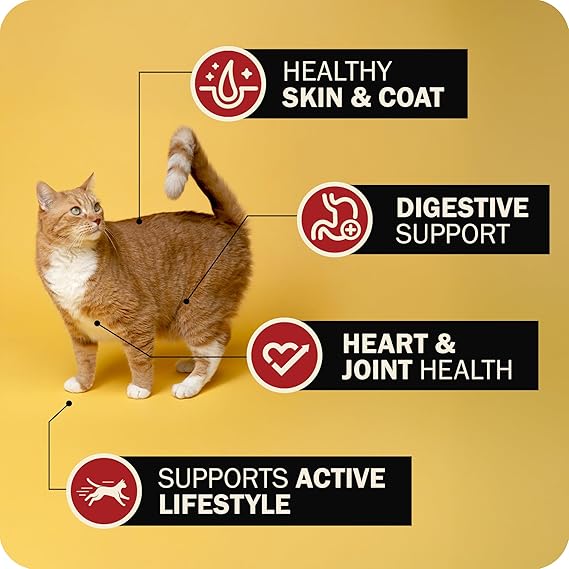 Redbarn Gently Air Dried Powerfood Chicken Recipe Cat Food, 2 lb