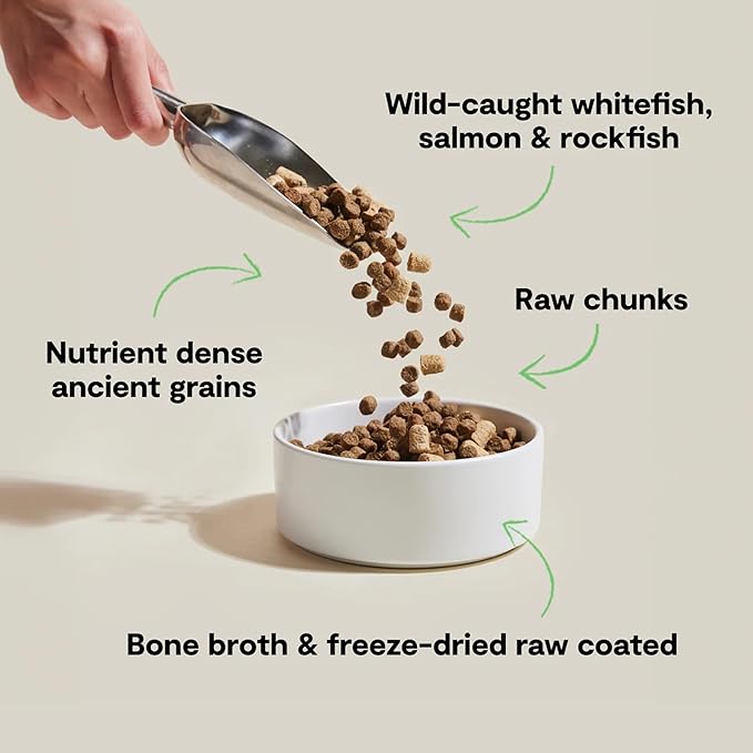Open Farm Wild Ocean RawMix with Ancient Grains Dog Food