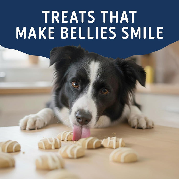 Natural Balance Yo-Gut Bites with Oats & Blueberries Dog Treats