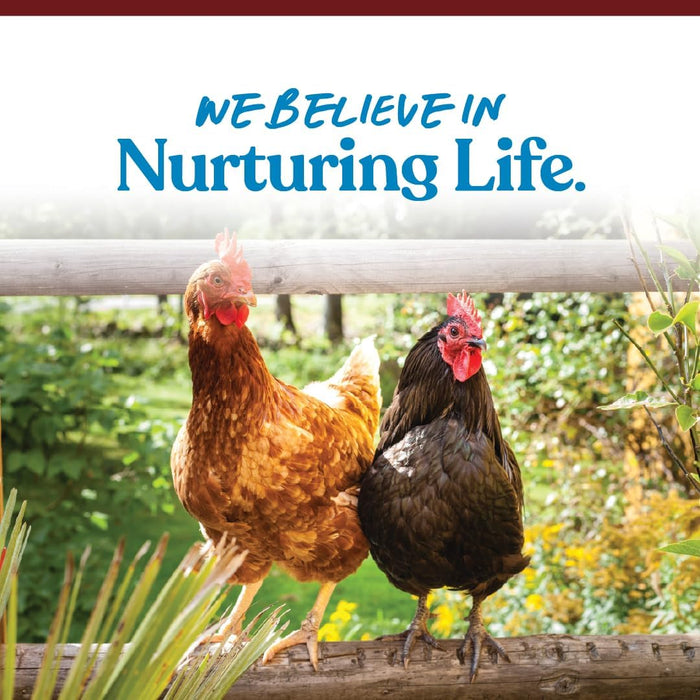 Manna Pro Oyster Shell – 5 lb