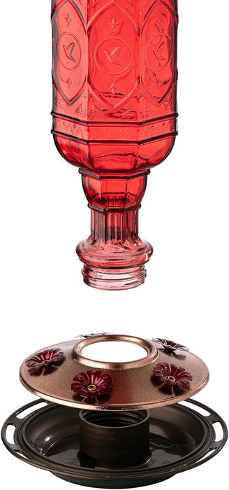 More Birds Red Jewel Hummingbird Feeder, Glass Hummingbird Feeders for Outdoors, 5 Feeding Stations, 20 Ounces