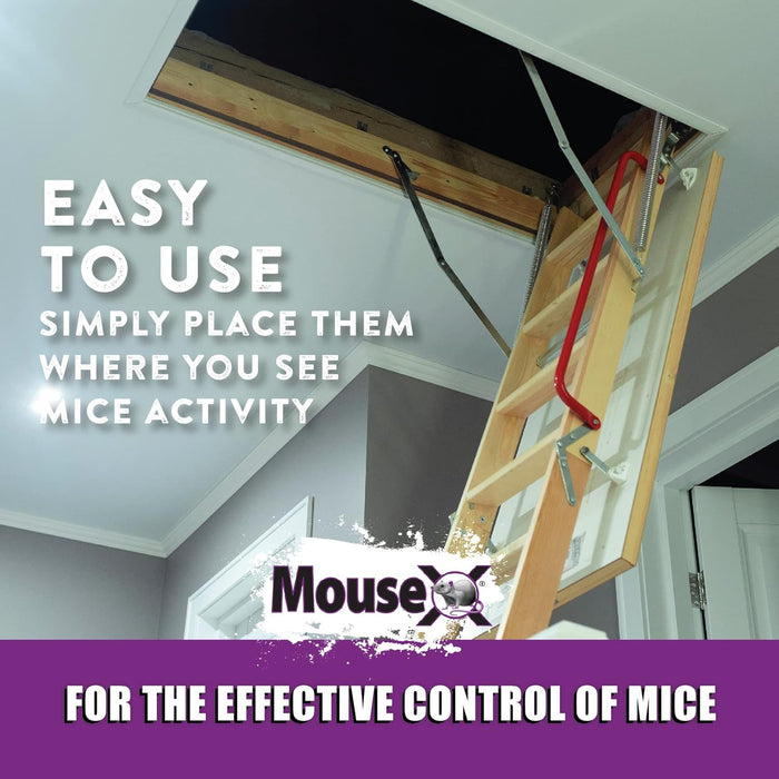 MouseX Rodenticide 8 oz