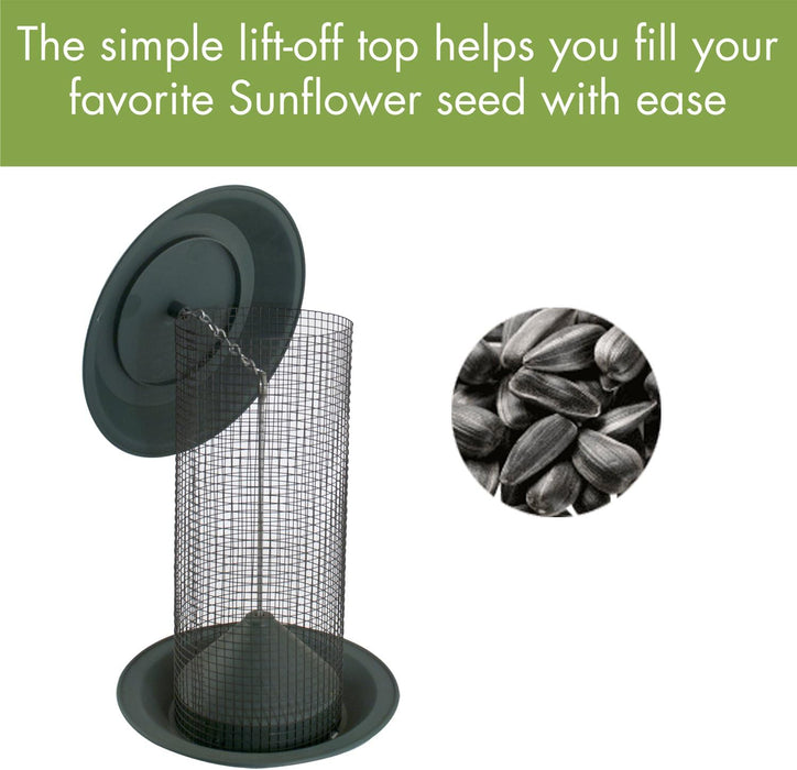 Woodlink Magnum Sunflower Screen Feeder