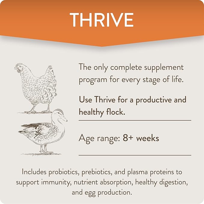 Perdue Flockleader Thrive Poultry Supplement Powder 8 Oz