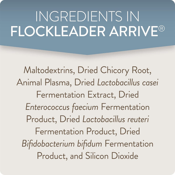 Perdue Flockleader Arrive Poultry Supplement Powder 8 Oz