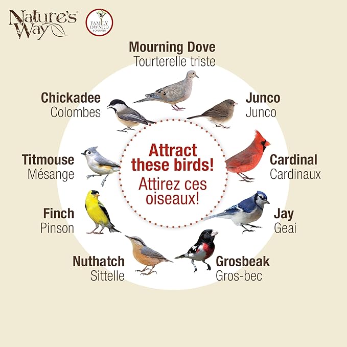 Nature's Way Cedar Hanging Platform Feeder