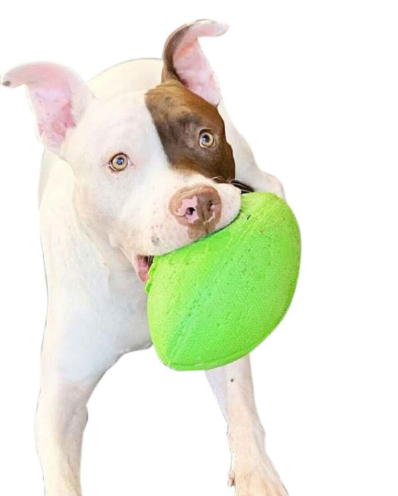 Jolly Pets Jolly Football Dog Toy 8 Inch