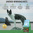 FirstMate Limited Ingredient Grain Free Cage Free Duck Meal & Pumpkin Formula Dry Dog Food