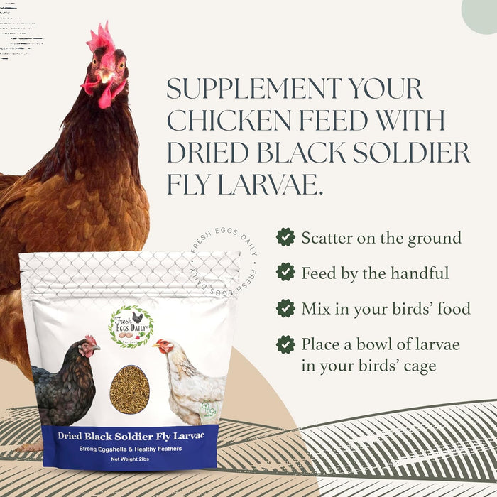 Dried Black Soldier Fly Larvae – 2 lbs