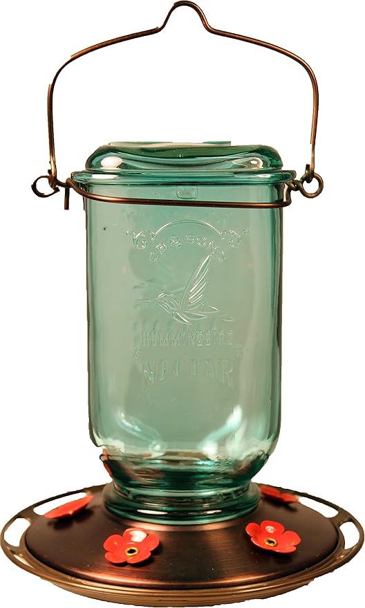 More Birds Clear Mason Jar Glass Hummingbird Feeder – 25 oz