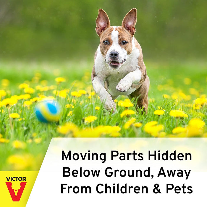 Victor Plunger Style Mole Trap