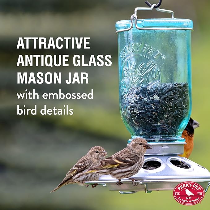 Perky-Pet Mason Jar Wild Bird Feeder