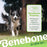 Benebone Stick Durable Dog Chew Toy