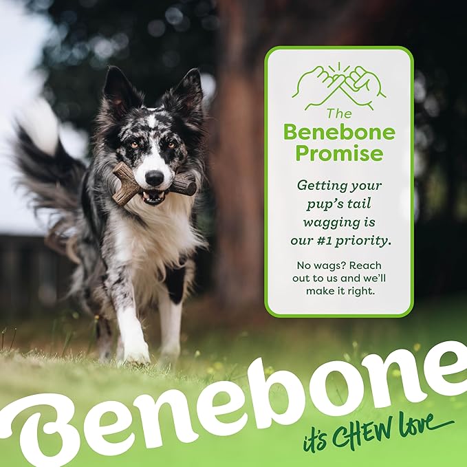 Benebone Stick Durable Dog Chew Toy