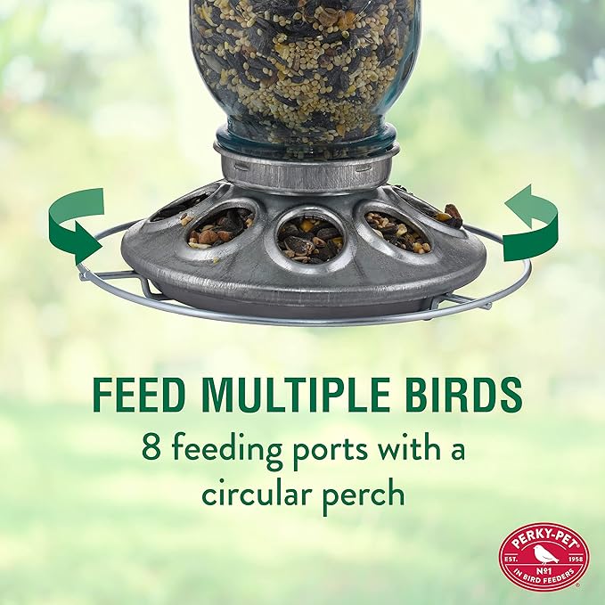 Perky-Pet Mason Jar Wild Bird Feeder