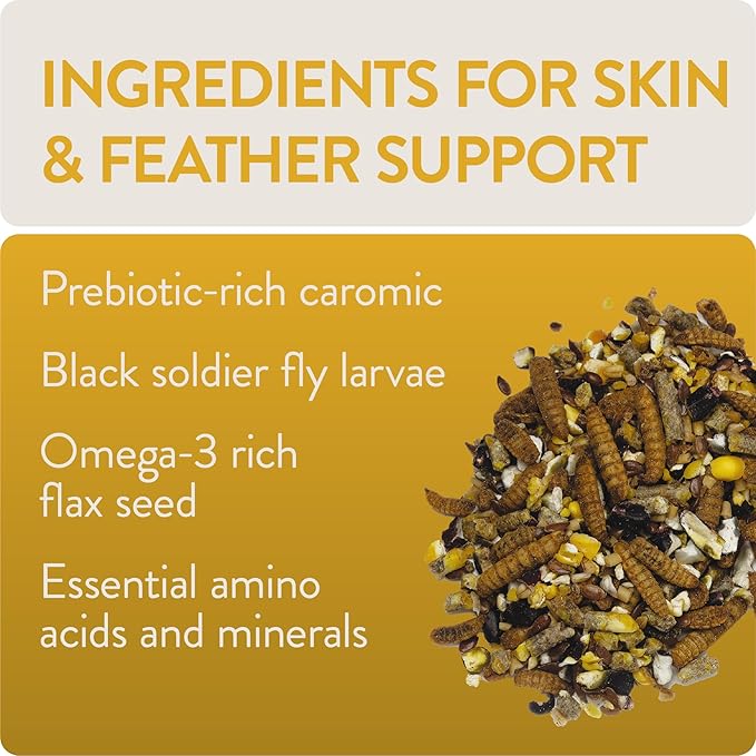 Flockleader Shine Functional Poultry Treat  1.5 Lb