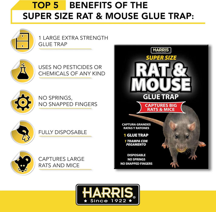 Harris Super Size Rat & Mouse Glue Trap 1 Pack