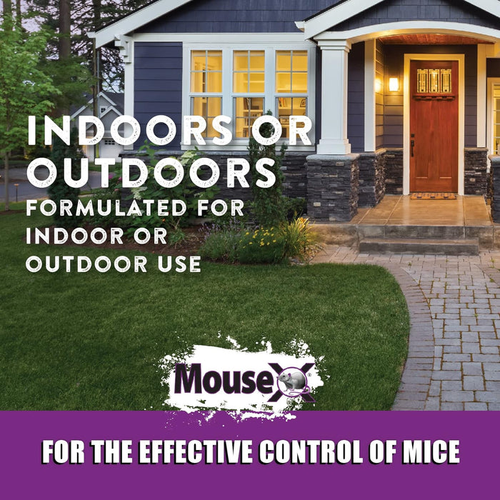 MouseX Rodenticide 8 oz
