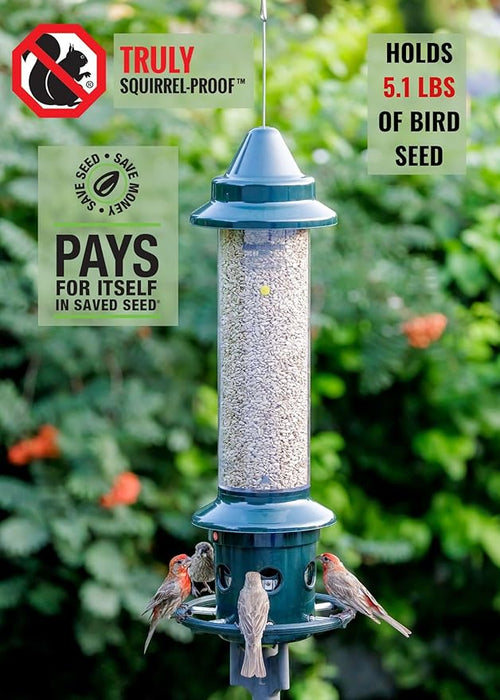 Squirrel Buster Squirrel-proof Bird Feeder w/4 Metal Perches