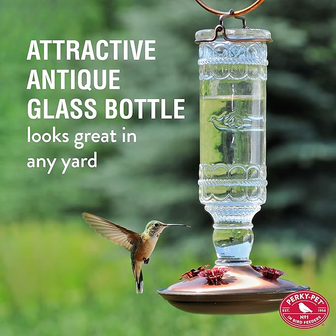Perky-Pet Antique Glass Bottle Hummingbird Feeder – 10 oz