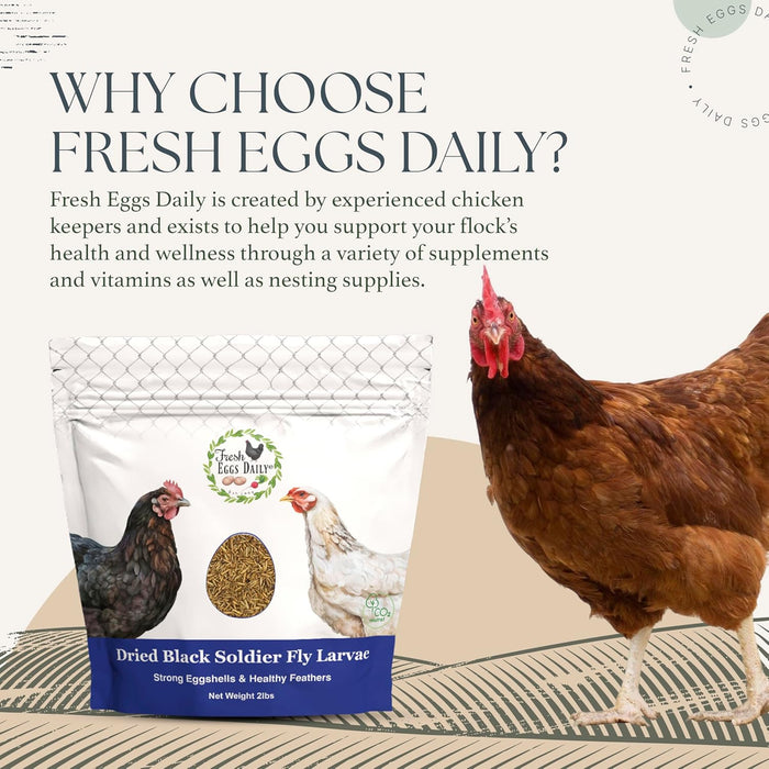 Dried Black Soldier Fly Larvae – 2 lbs