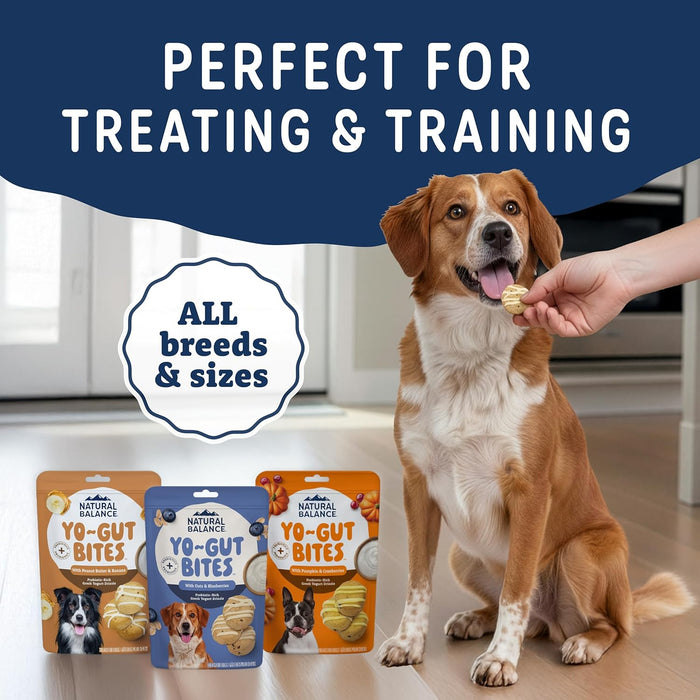 Natural Balance Yo-Gut Bites with Oats & Blueberries Dog Treats