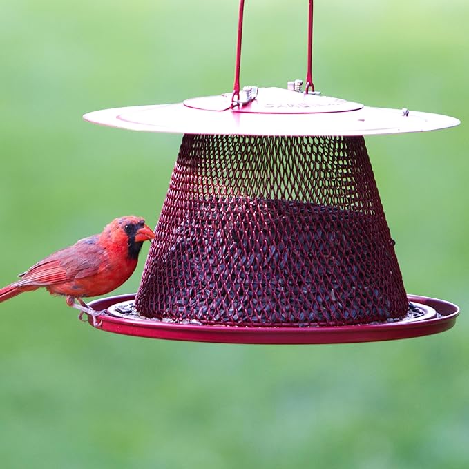 Perky-Pet Red Cardinal Wild Bird Feeder 2.5 Lb Capacity