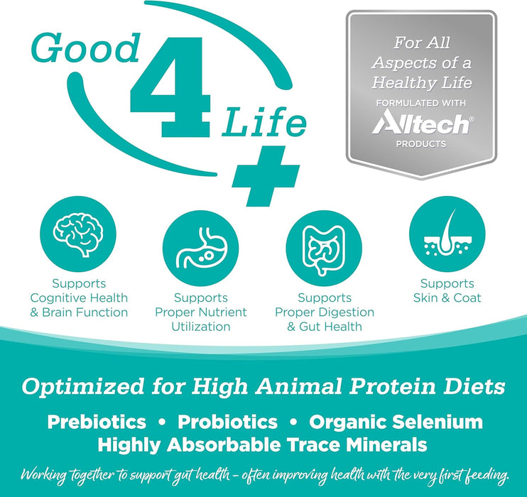NutriSource Element Cat Classic Catch Recipe Dry Cat Food