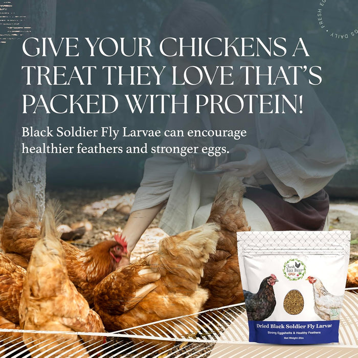 Dried Black Soldier Fly Larvae – 2 lbs