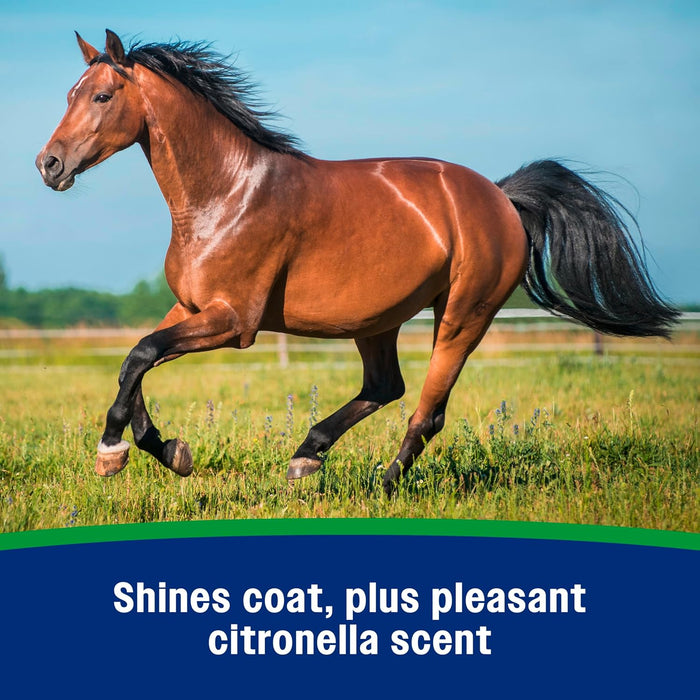 Farnam Wipe II Fly Spray with Citronella - 32 oz