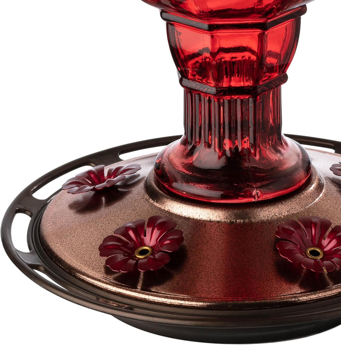 More Birds Red Jewel Hummingbird Feeder, Glass Hummingbird Feeders for Outdoors, 5 Feeding Stations, 20 Ounces