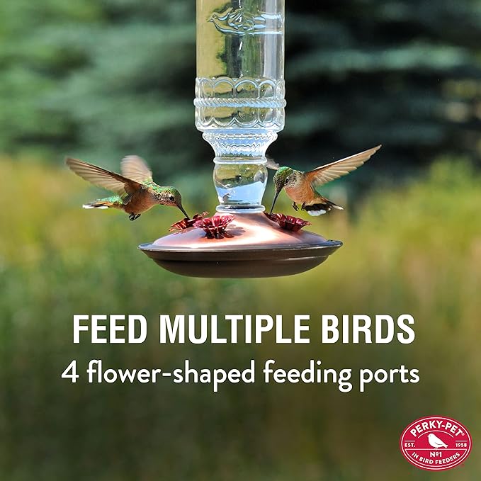 Perky-Pet Antique Glass Bottle Hummingbird Feeder – 10 oz