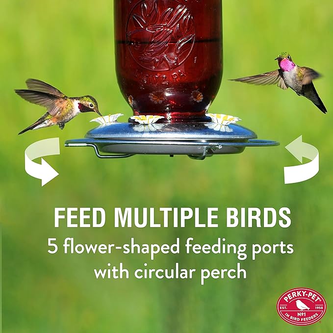 Perky-Pet Red Mason Jar Vintage Glass Hummingbird Feeder – 32 oz