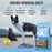 FirstMate Limited Ingredient Grain Free Chicken Meal with Blueberries Dry Dog Food