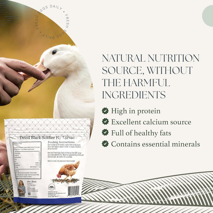 Dried Black Soldier Fly Larvae – 2 lbs