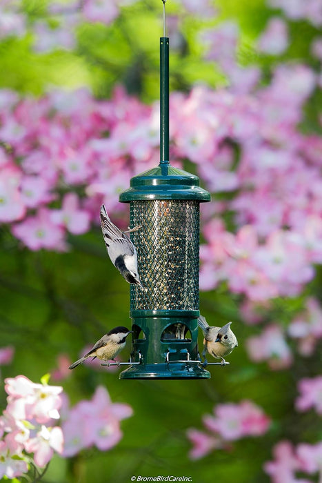 Squirrel Buster Squirrel-proof Bird Feeder w/4 Metal Perches
