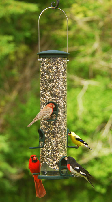 Aspects Spruce Quick Clean Big Tube Feeder, Large, Green