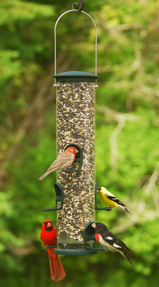 Aspects Spruce Quick Clean Big Tube Feeder, Large, Green