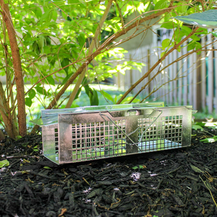 Havahart 2-Door Extra Small Animal Trap (10" x 3" x 3")
