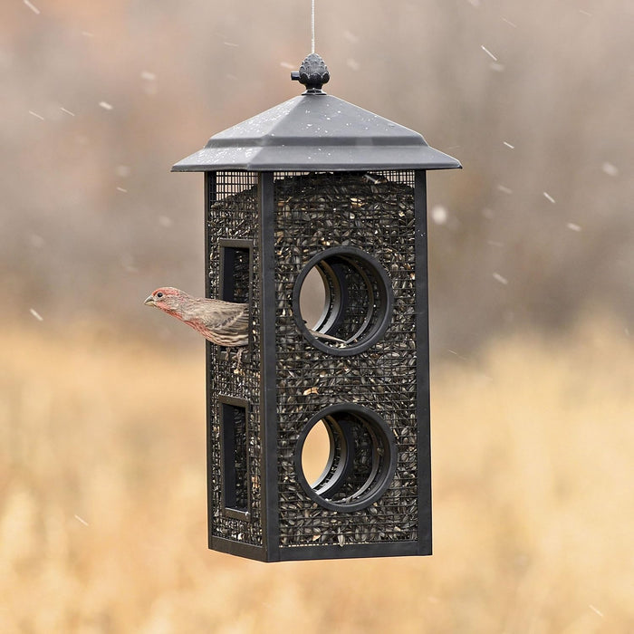 Perky-Pet Fly-Through Wild Bird Feeder