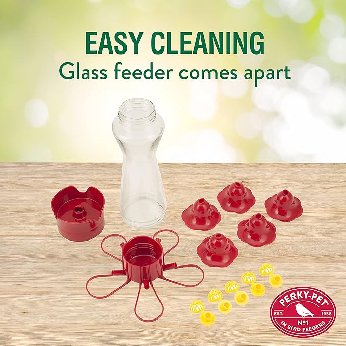 Perky-Pet Glass Hummingbird Feeder for Outdoors with Perches & Guards