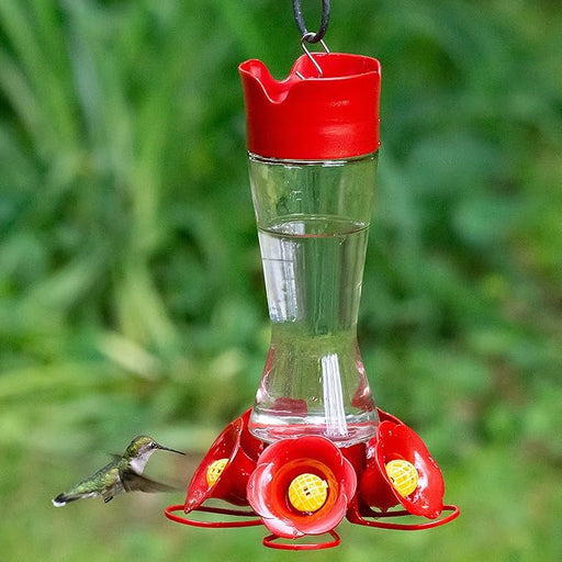 Perky-Pet Glass Hummingbird Feeder for Outdoors with Perches & Guards