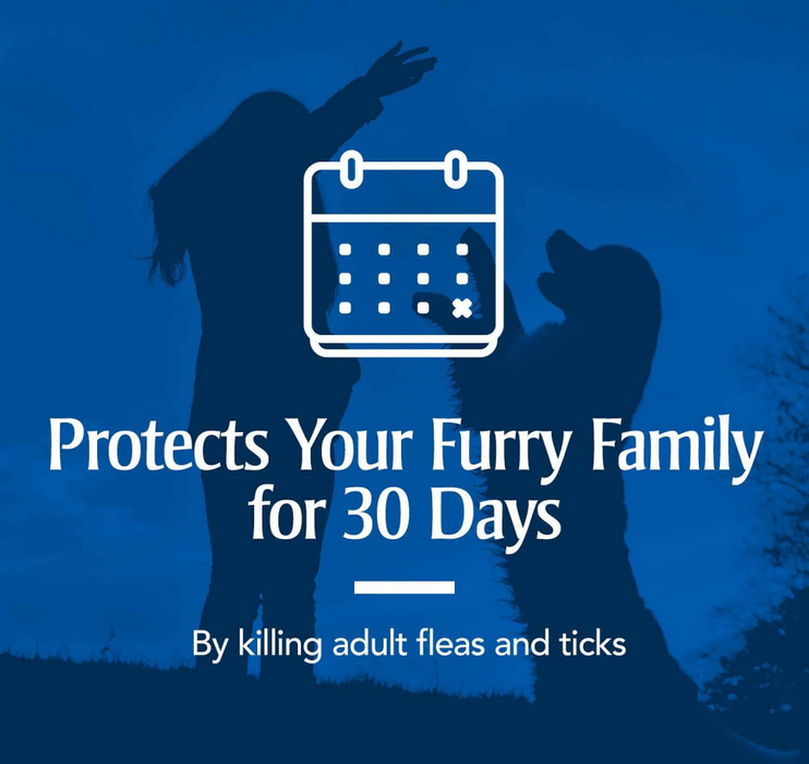 PetArmor Plus Flea & Tick Spot Treatment for Dogs 5-22 lbs