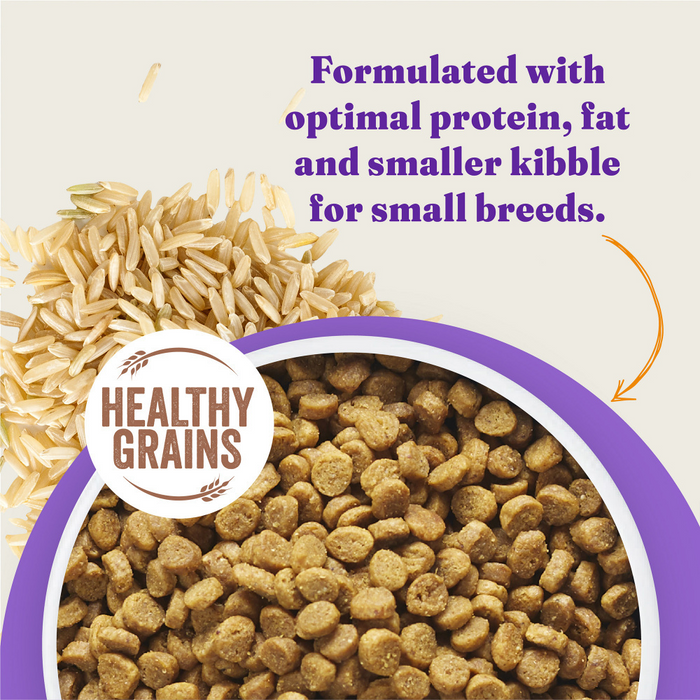 Halo Holistic Cage-Free Chicken & Brown Rice Small Breed Dog Food
