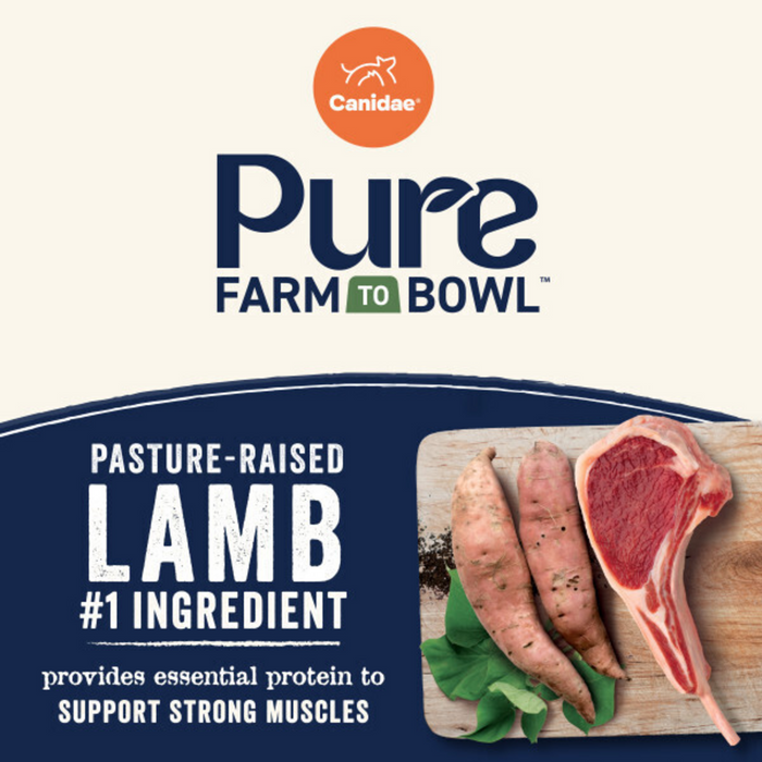 Canidae Pure Goodness Real Lamb & Sweet Potato Recipe Adult Dry Dog Food
