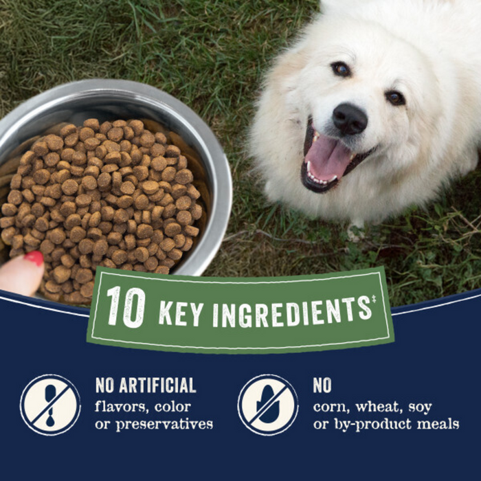 Canidae Pure Goodness Real Lamb & Sweet Potato Recipe Adult Dry Dog Food
