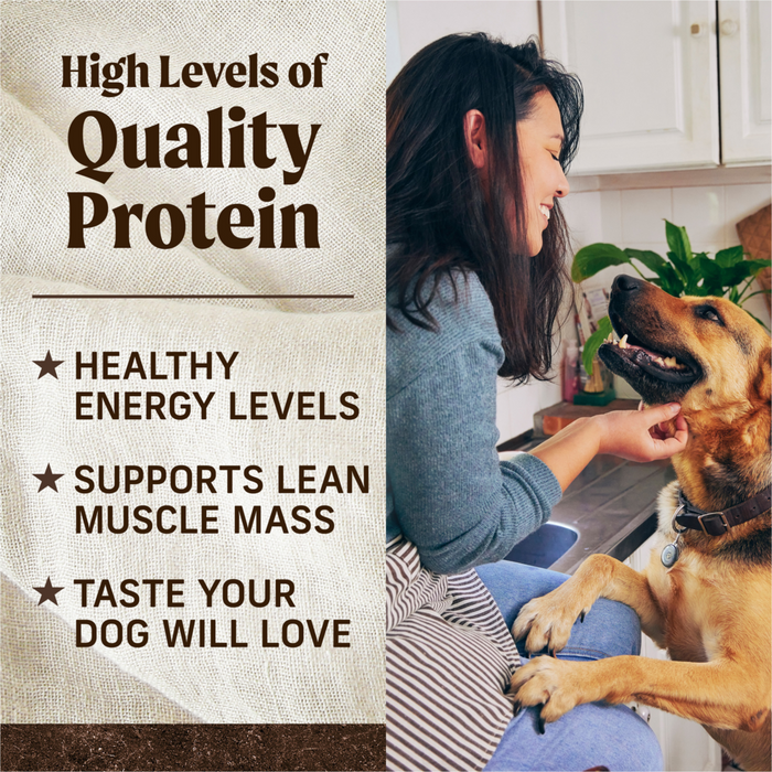 Merrick Premium Grain Free Dry Adult Dog Food Wholesome And Natural Kibble With Real Salmon And Sweet Potato