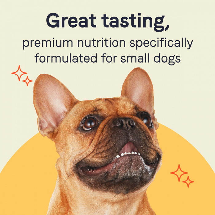 Canidae Grain Free PURE Petite Small Breed Cacciatore Style Dinner Morsels with Lamb and Carrots in Sauce Wet Dog Food