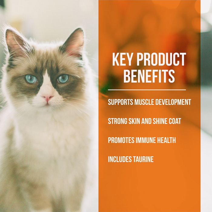 Fussie Cat Market Fresh Turkey Meal Recipe Dry Cat Food