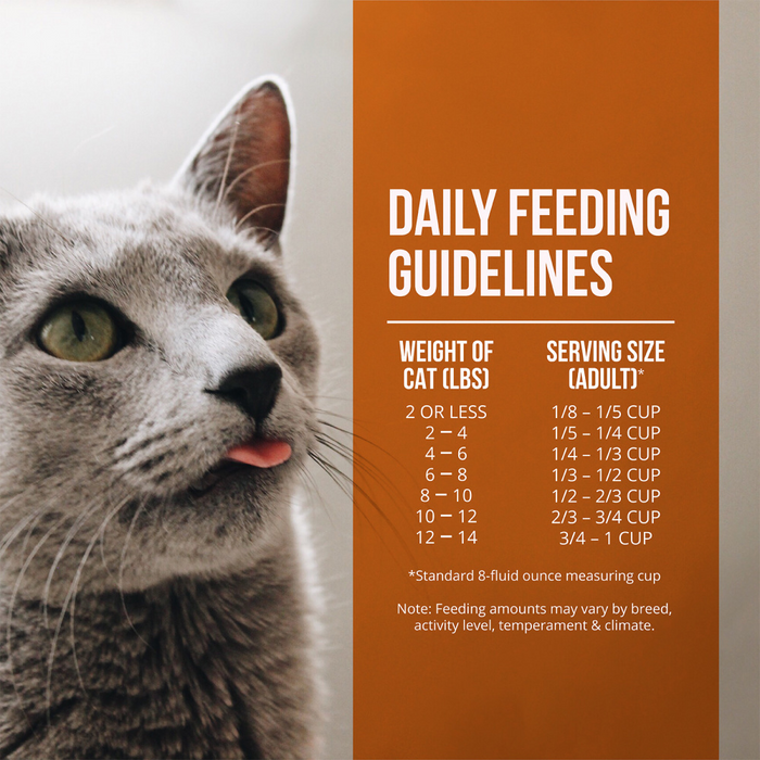 Fussie Cat Market Fresh Turkey Meal Recipe Dry Cat Food